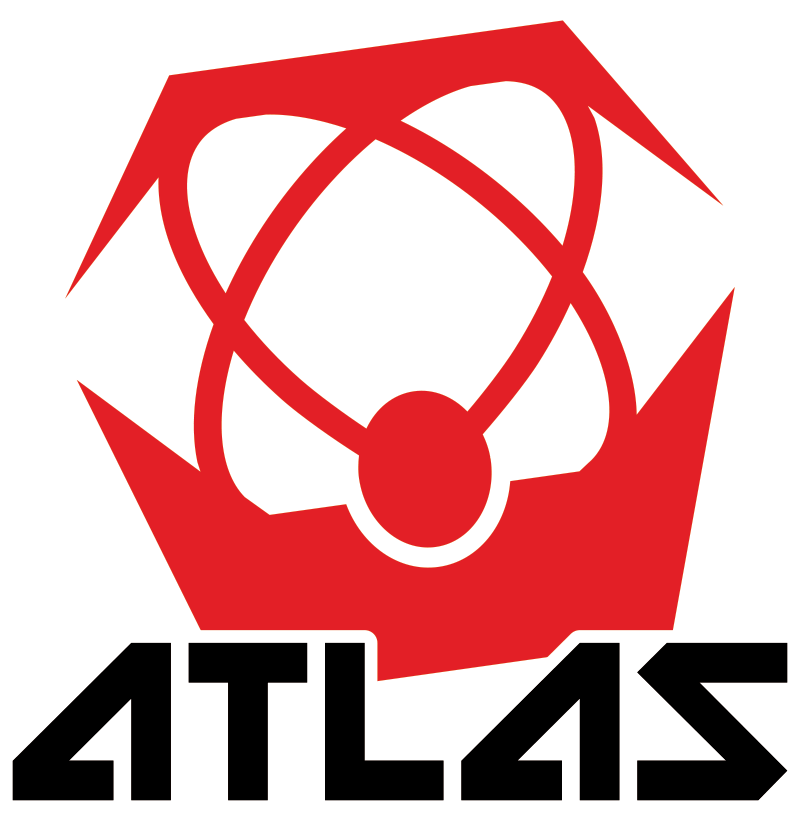 Atlas Brace